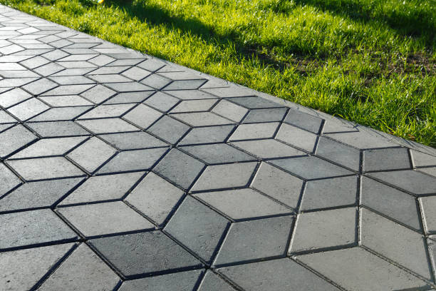 Best Driveway Pavers Near Me  in Orange Grove, TX